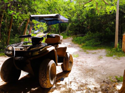 Application of ATV Seats Application of ATV Seats